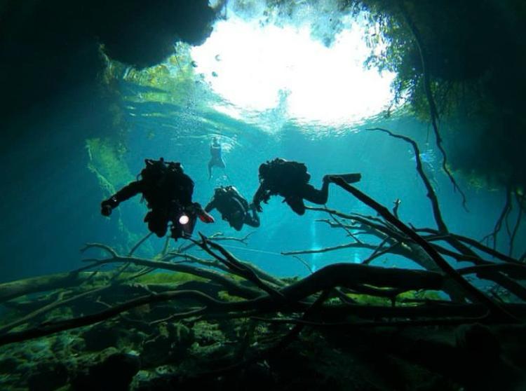 cenote diving