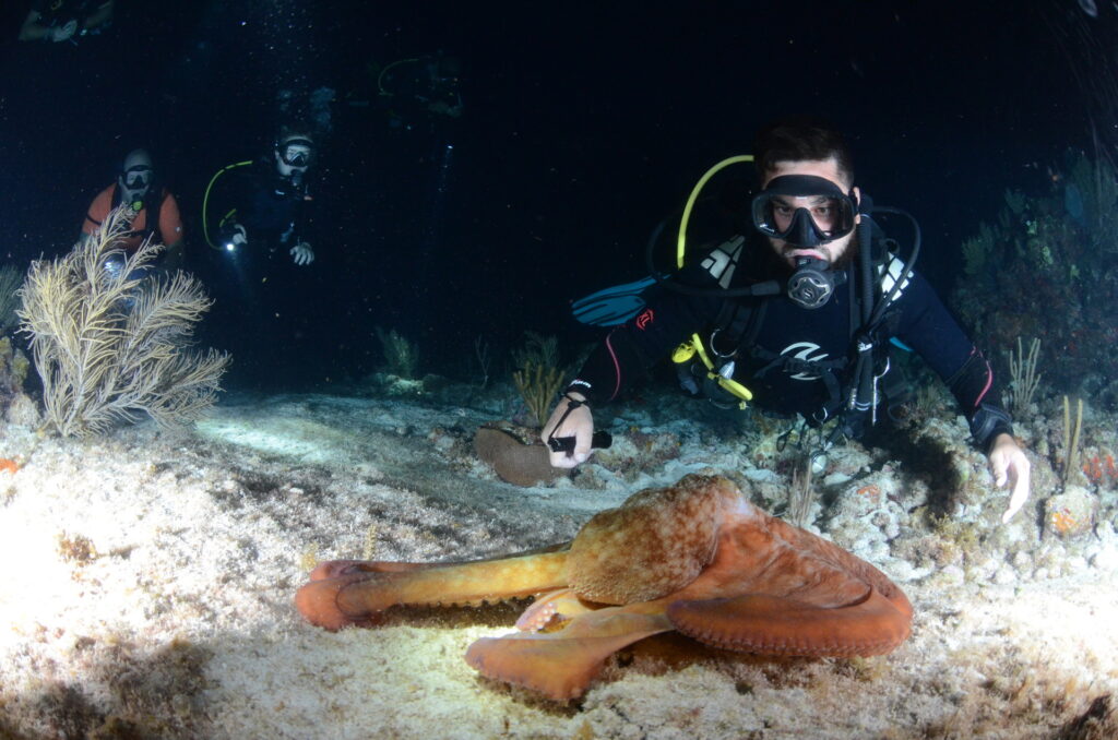 Night Diving